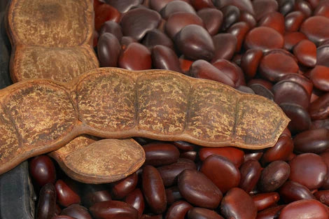 Entada rheedii Seeds, African Dream Herb beans, lucky Charm Seeds, Phytosanitary certificate Included