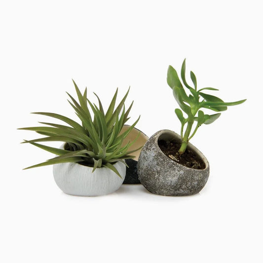 Featured Products